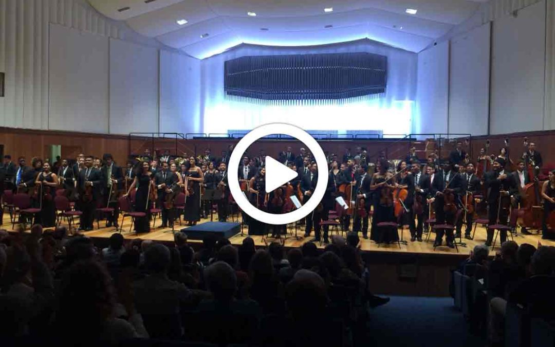 Video: Anima e corpo
