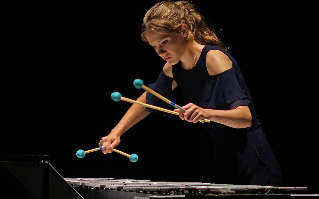 In viaggio con un bassotuba